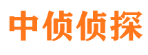 噶尔侦探公司